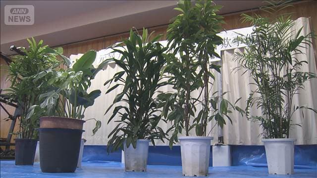 メイン記事画像