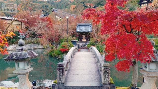 メイン記事画像