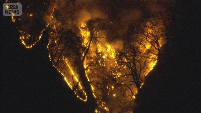 メイン記事画像