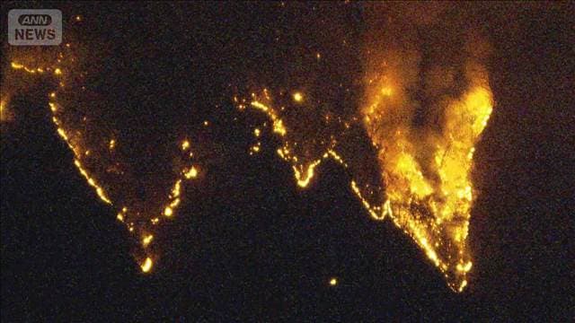 メイン記事画像