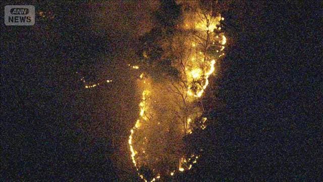 メイン記事画像