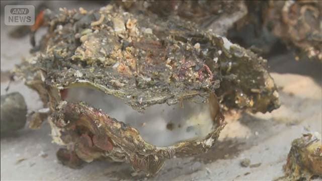 メイン記事画像