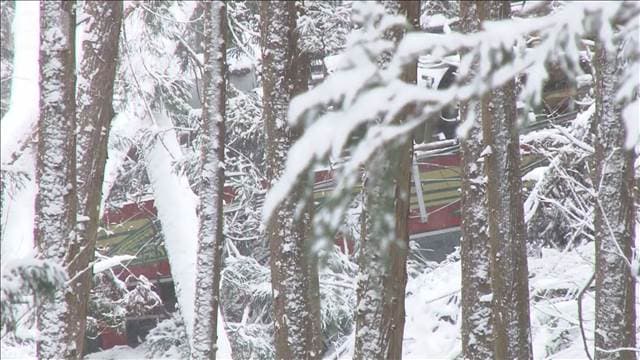 メイン記事画像