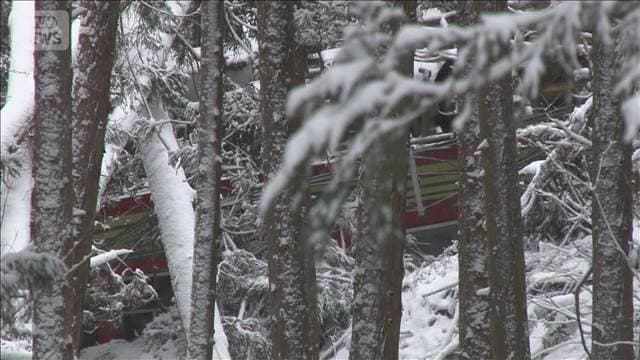 メイン記事画像