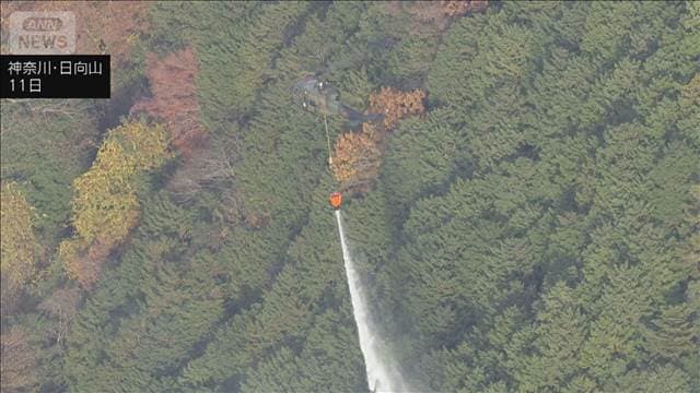 メイン記事画像