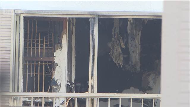 メイン記事画像