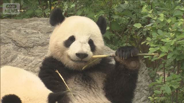 メイン記事画像