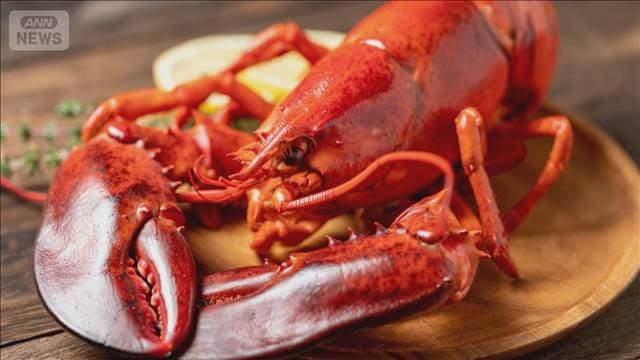 メイン記事画像