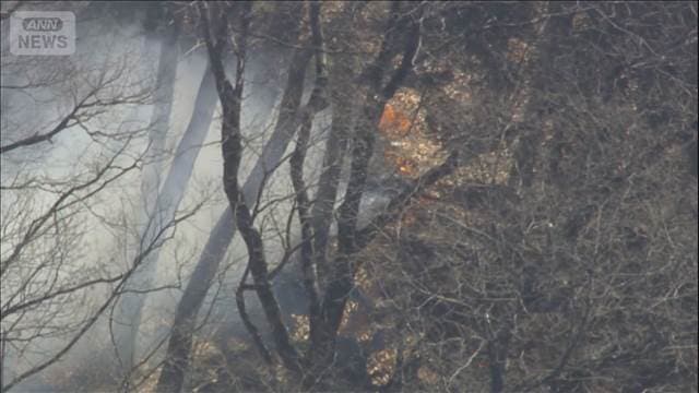 メイン記事画像