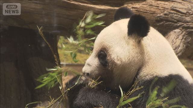 メイン記事画像