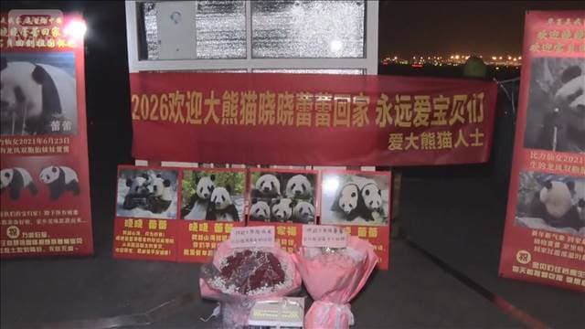 メイン記事画像