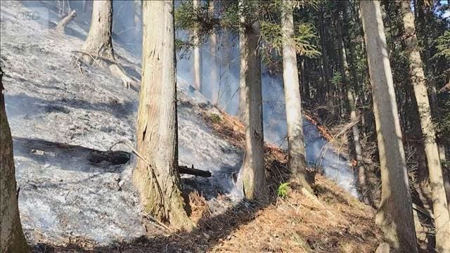 メイン記事画像