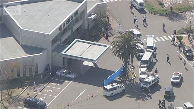 メイン記事画像