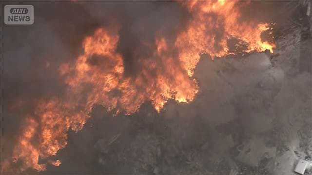 メイン記事画像