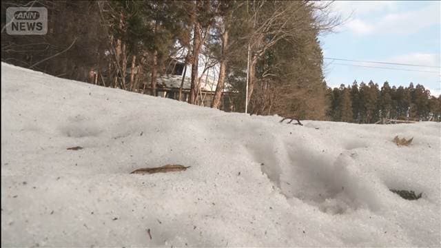 メイン記事画像