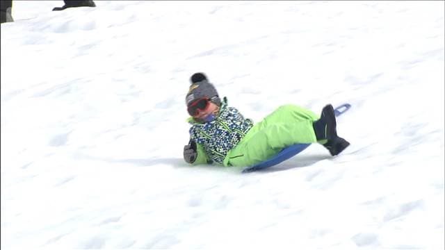 メイン記事画像