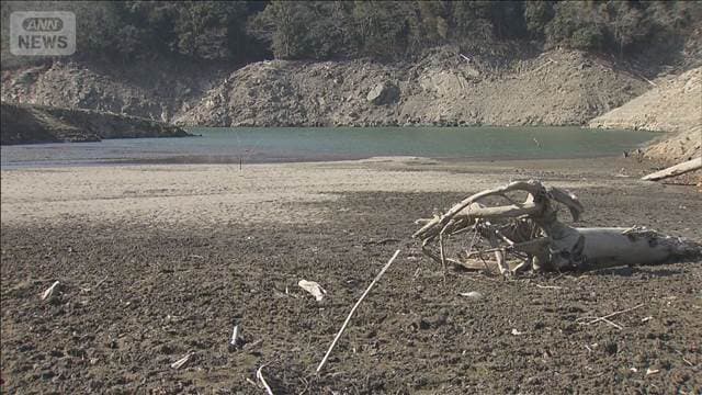 メイン記事画像