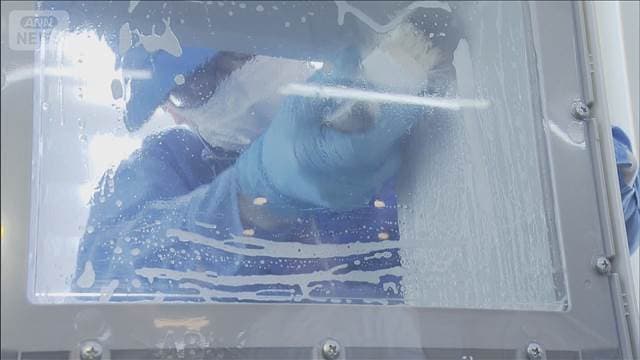 メイン記事画像