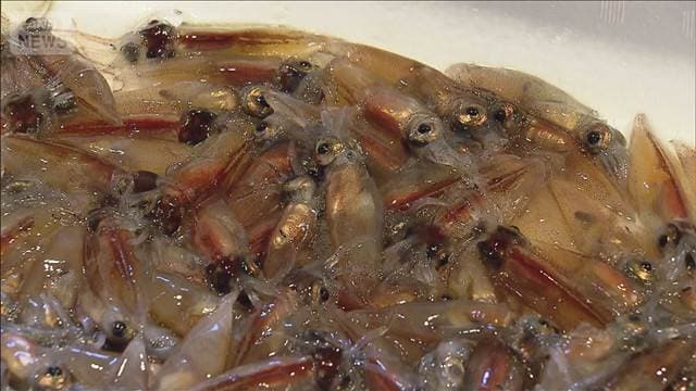 メイン記事画像