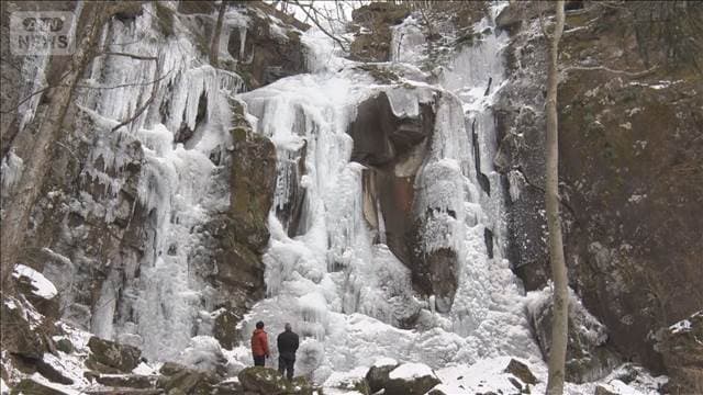 メイン記事画像