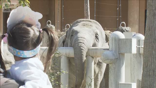 メイン記事画像