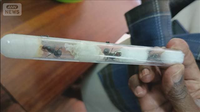 メイン記事画像