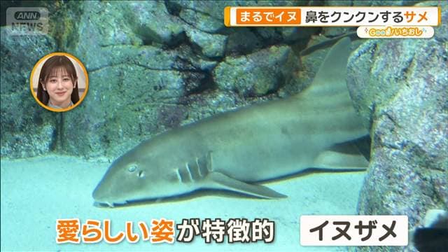 メイン記事画像