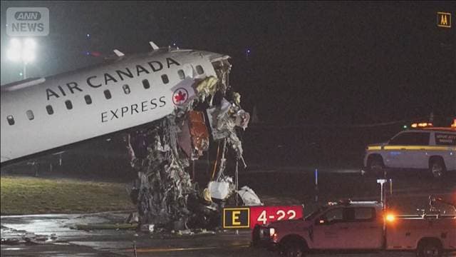 メイン記事画像