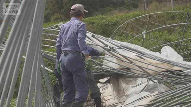 メイン記事画像