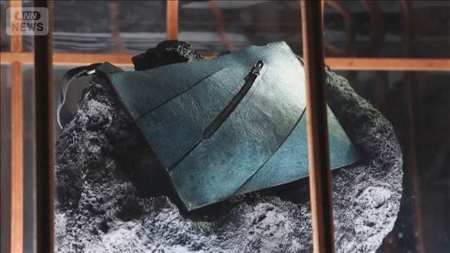 メイン記事画像