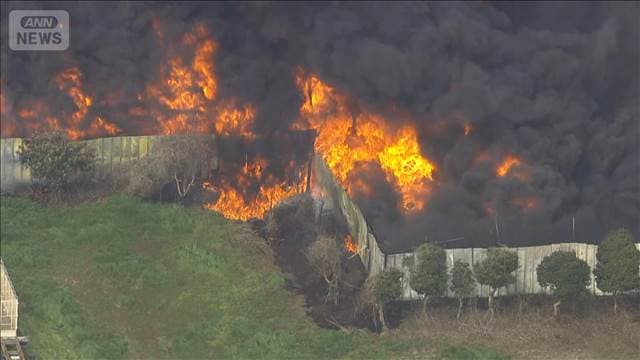 メイン記事画像