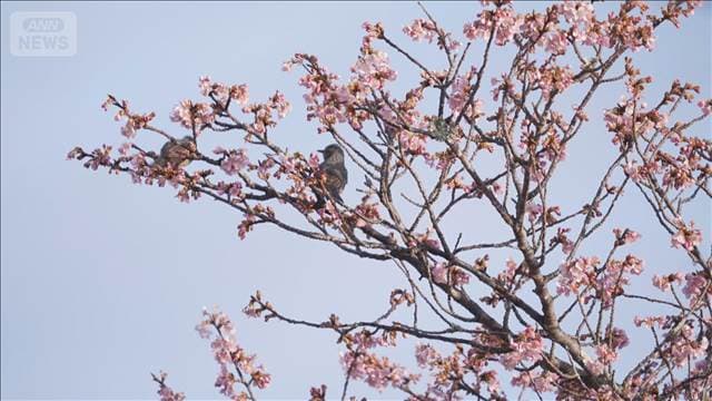 メイン記事画像