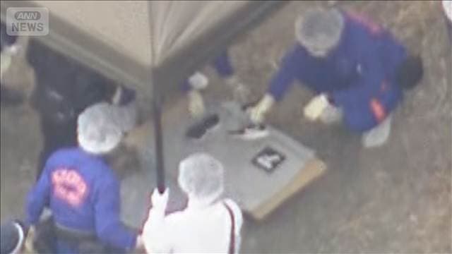 メイン記事画像