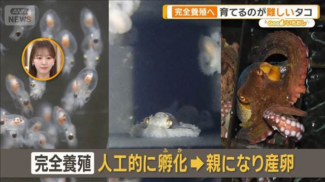 メイン記事画像