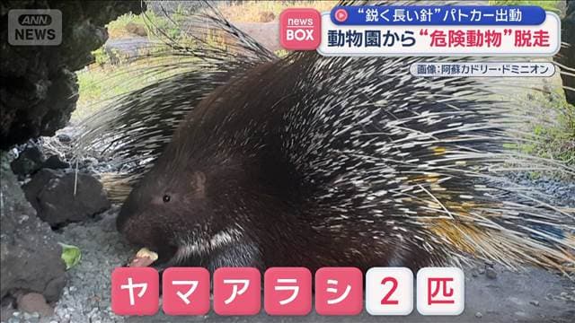 メイン記事画像