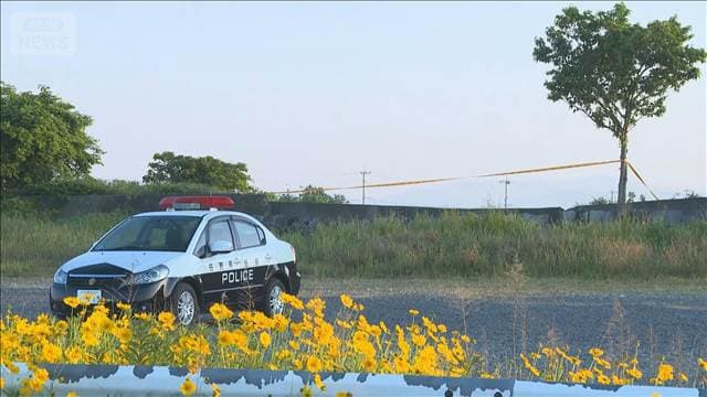 メイン記事画像
