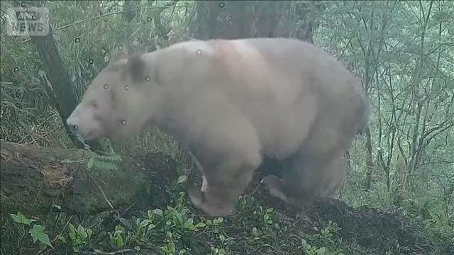 メイン記事画像
