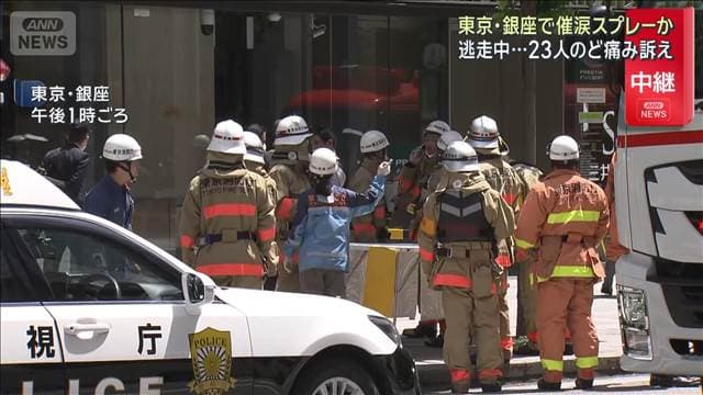 メイン記事画像