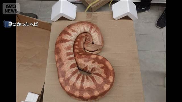 メイン記事画像