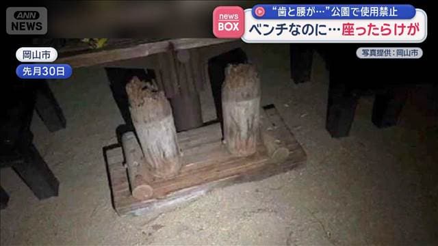 メイン記事画像