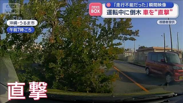 メイン記事画像