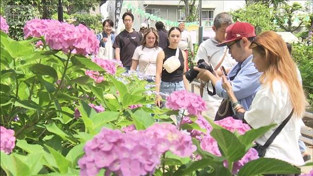 メイン記事画像