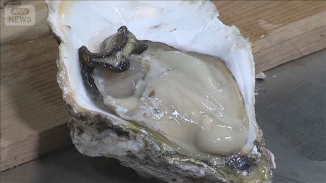 メイン記事画像