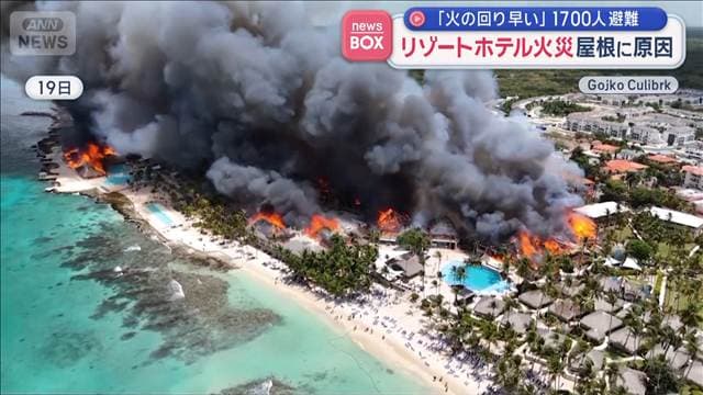 メイン記事画像