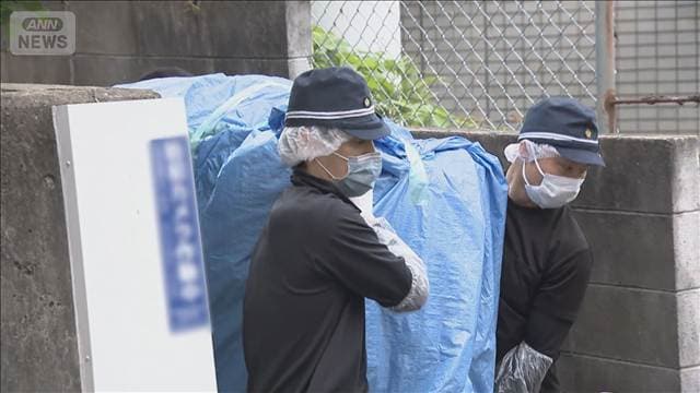 メイン記事画像