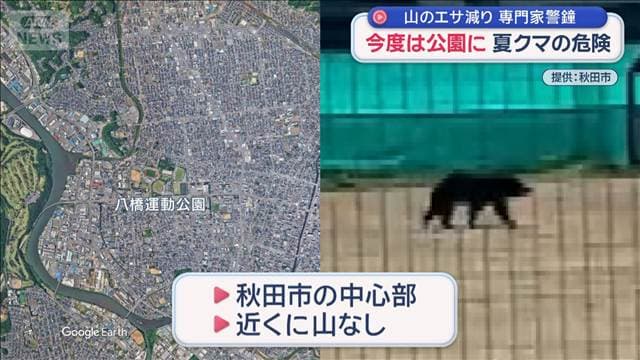 メイン記事画像