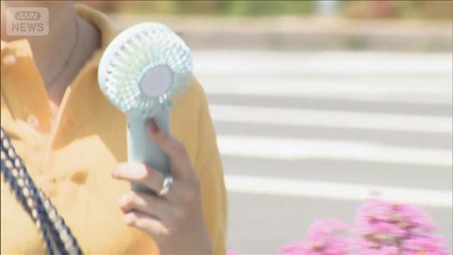 メイン記事画像