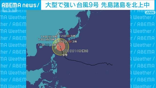 メイン記事画像