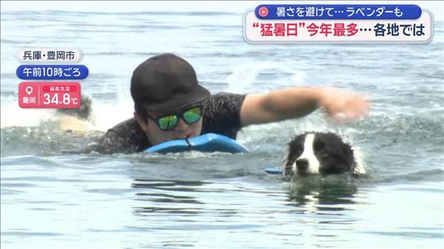 メイン記事画像