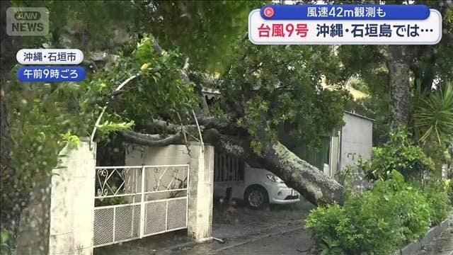 メイン記事画像